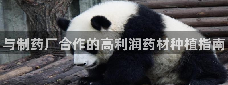 九游老哥俱乐部官网登录网址：与制药厂合作的高利润药材种植指南