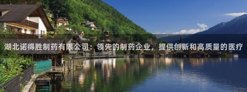 九游会老哥俱乐部论坛版：湖北诺得胜制药有限公司：领先的制药企业，提供创新和高质量的医疗