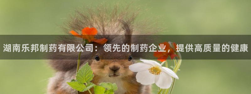 九游老哥俱乐部官网登录网址：湖南乐邦制药有限公司：领先的制药企业，提供高质量的健康