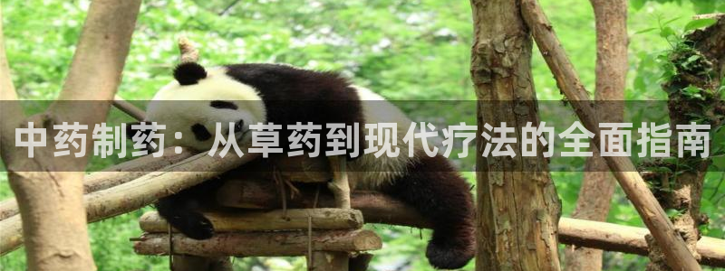 九游会老哥俱乐部必备的交流社区论坛：中药制药：从草药到现代疗法的全面指南