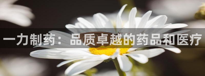 老哥俱乐部是干什么的：一力制药：品质卓越的药品和医疗