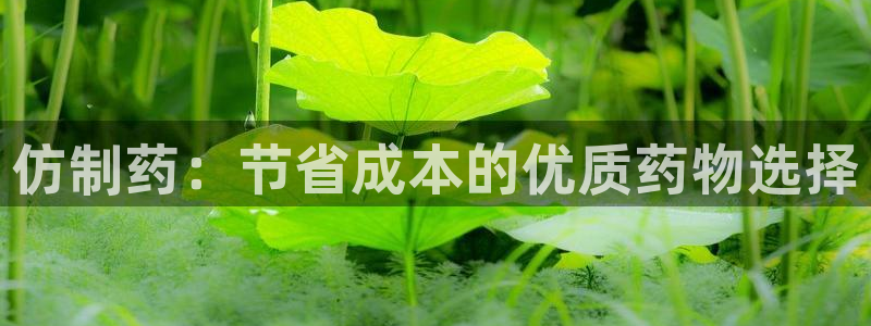 九游老哥俱乐部官网登录：仿制药：节省成本的优质药物选择
