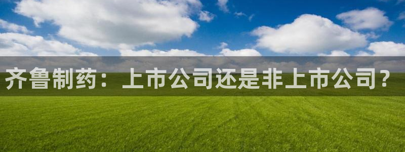 九游老哥俱乐部登录：齐鲁制药：上市公司还是非上市公司？
