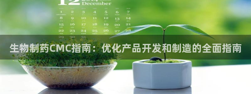 九游会老哥俱乐部官网首页论坛：生物制药CMC指南：优化产品开发和制造的全面指南