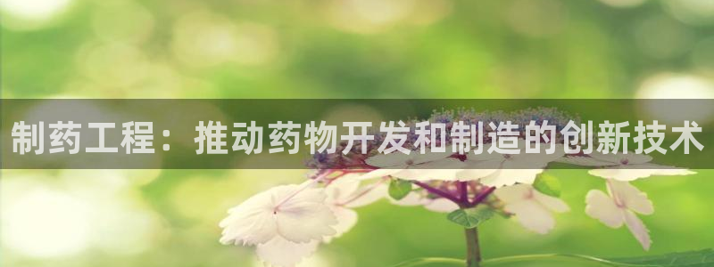 9游会老哥俱乐部：制药工程：推动药物开发和制造的创新技术