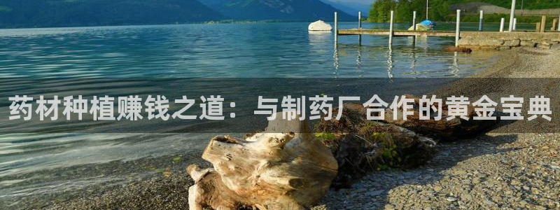 九游会老哥俱乐部：药材种植赚钱之道：与制药厂合作的黄金宝典