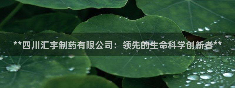 ag九游老哥俱乐部：**四川汇宇制药有限公司：领先的生命科学创新者**