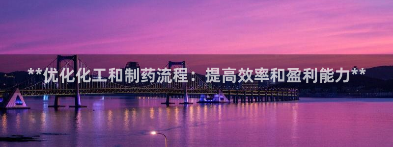 ag九游老哥俱乐部：**优化化工和制药流程：提高效率和盈利能力**