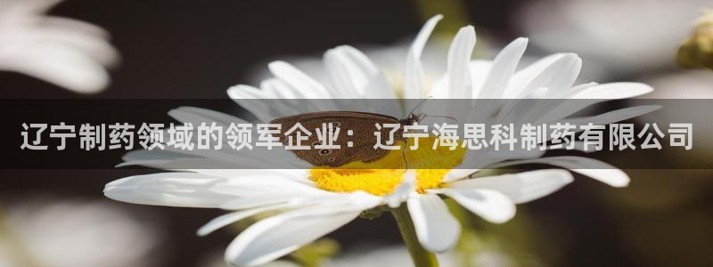 九游老哥俱乐部官网登录：辽宁制药领域的领军企业：辽宁海思科制药有限公司