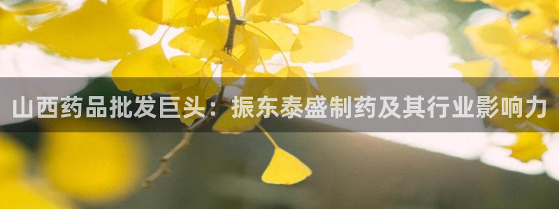 九游会老哥俱乐部社区论坛：山西药品批发巨头：振东泰盛制药及其行业影响力