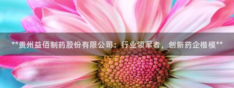 9游会老哥俱乐部：**贵州益佰制药股份有限公司：行业领军者，创新药企楷模**