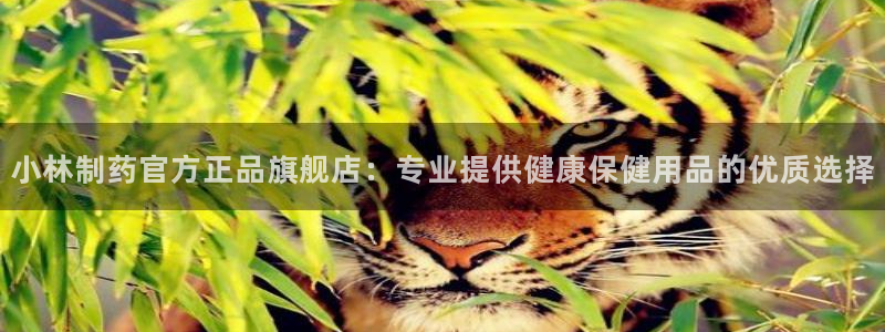 九游会老哥俱乐部官网首页论坛：小林制药官方正品旗舰店：专业提供健康保健用品的优质选择