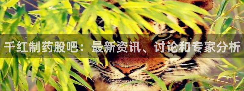 九游会老哥必备的交流社区九：千红制药股吧：最新资讯、讨论和专家分析