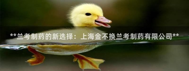 九游老哥俱乐部官网登录不了：**兰考制药的新选择：上海金不换兰考制药有限公司**