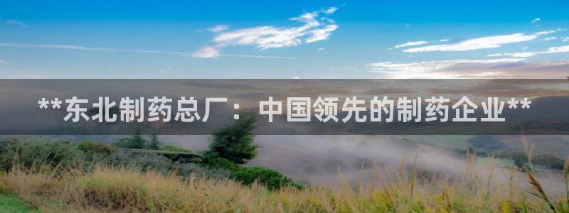 九游老哥俱乐部官网登录：**东北制药总厂：中国领先的制药企业**
