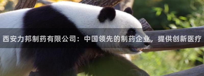 ag九游会老哥：西安力邦制药有限公司：中国领先的制药企业，提供创新医疗