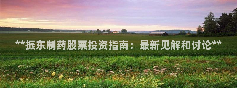 九游会老哥必备的交流社区：**振东制药股票投资指南：最新见解和讨论**