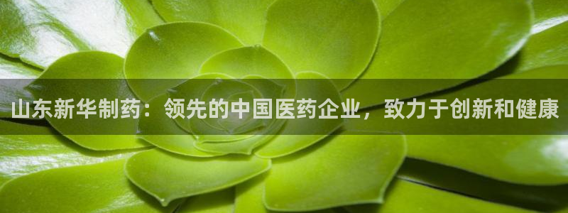 j9九游会老哥俱乐部交流区：山东新华制药：领先的中国医药企业，致力于创新和健康