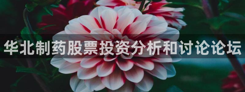 九游老哥俱乐部官网登录不了：华北制药股票投资分析和讨论论坛