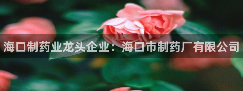 ag九游老哥俱乐部：海口制药业龙头企业：海口市制药厂有限公司
