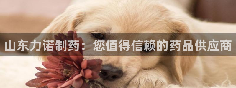 九游老哥俱乐部官网登录网址：山东力诺制药：您值得信赖的药品供应商