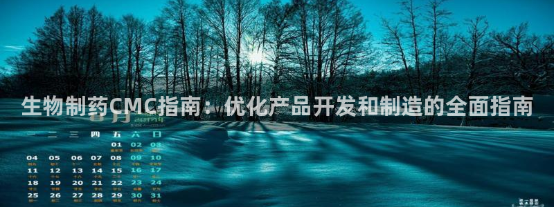 九游会老哥俱乐部必备的交流社区：生物制药CMC指南：优化产品开发和制造的全面指南