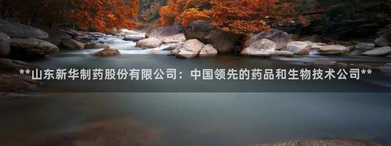 九游会老哥俱乐部论坛版：**山东新华制药股份有限公司：中国领先的药品和生物技术公司**
