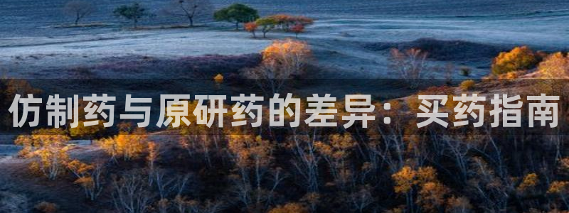 老哥俱乐部是干什么的：仿制药与原研药的差异：买药指南