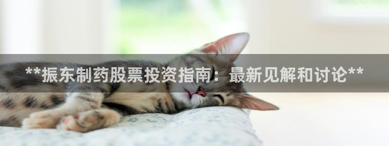 九游会老哥俱乐部官方网站：**振东制药股票投资指南：最新见解和讨论**