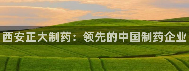 九游会老哥俱乐部官网：西安正大制药：领先的中国制药企业