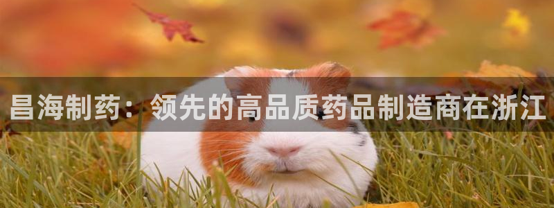 九游会老哥俱乐部论坛版：昌海制药：领先的高品质药品制造商在浙江