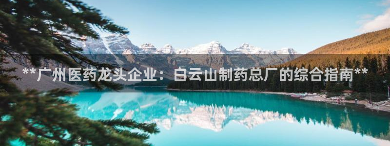 九游会老哥俱乐部官方网站：**广州医药龙头企业：白云山制药总厂的综合指南**