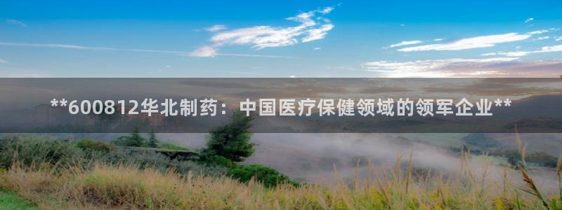 老哥吧九游会：**600812华北制药：中国医疗保健领域的领军企业**