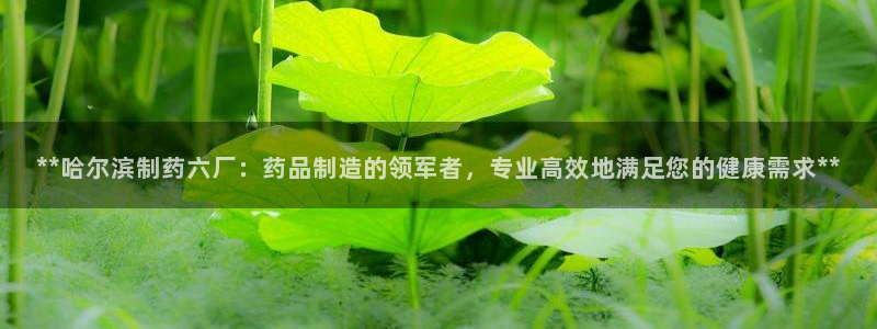九游会老哥俱乐部论坛版：**哈尔滨制药六厂：药品制造的领军者，专业高效地满足您的健康需求**