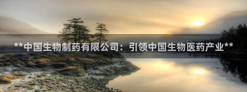 九游会老哥必备的交流社区九：**中国生物制药有限公司：引领中国生物医药产业**