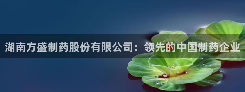 9游会老哥：湖南方盛制药股份有限公司：领先的中国制药企业