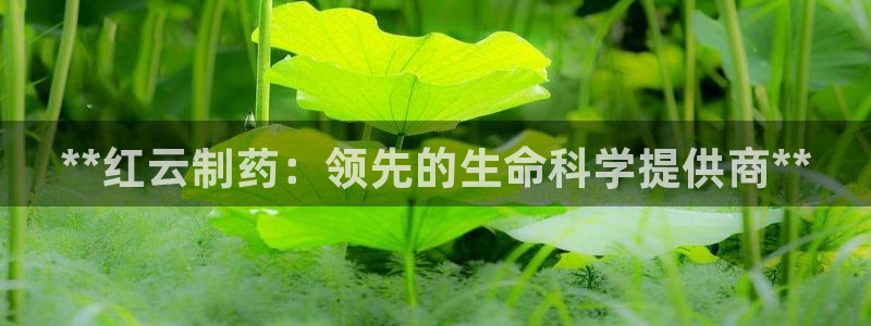 九游会老哥俱乐部必备的交流社区：**红云制药：领先的生命科学提供商**