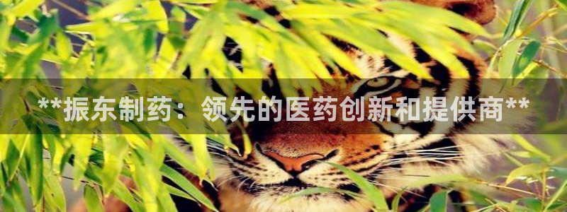 九游老哥俱乐部官网登录：**振东制药：领先的医药创新和提供商**