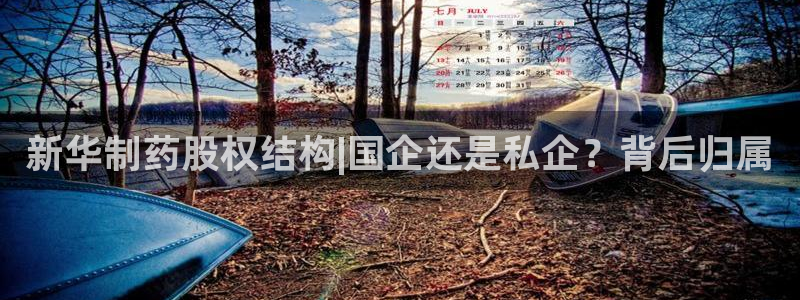 九游会老哥俱乐部官网首页：新华制药股权结构|国企还是私企？背后归属