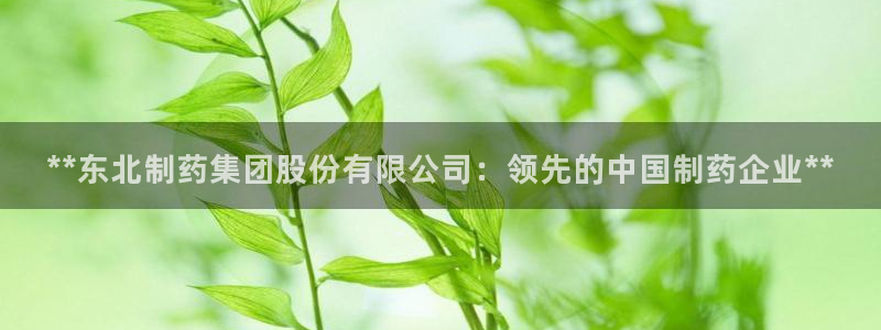 九游会老哥必备的交流社区九：**东北制药集团股份有限公司：领先的中国制药企业**