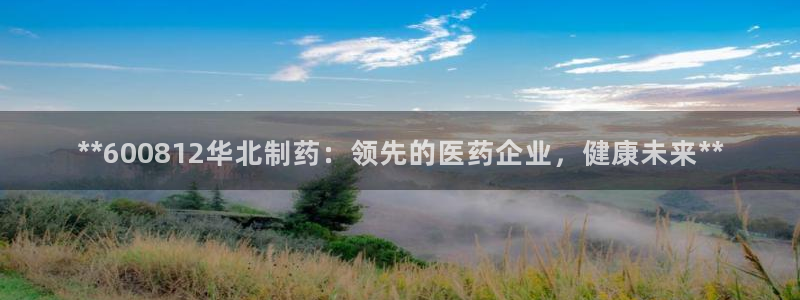 九游老哥俱乐部官网登录不了：**600812华北制药：领先的医药企业，健康未来**