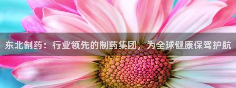 九游会老哥俱乐部必备的交流社区：东北制药：行业领先的制药集团，为全球健康保驾护航
