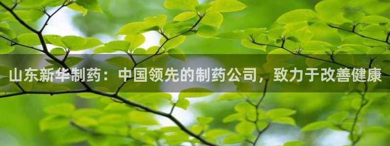 ag九游会老哥：山东新华制药：中国领先的制药公司，致力于改善健康