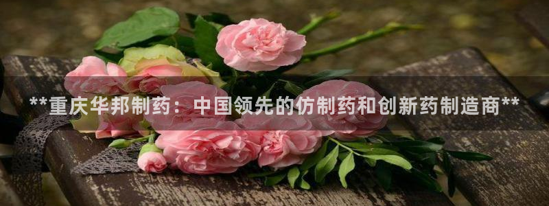 ag九游会老哥：**重庆华邦制药：中国领先的仿制药和创新药制造商**