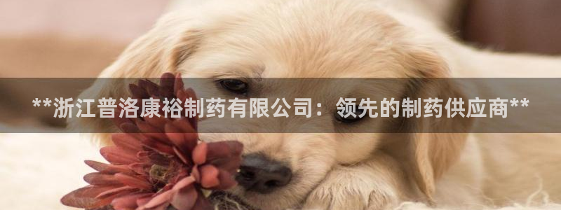 九游会老哥俱乐部论坛版：**浙江普洛康裕制药有限公司：领先的制药供应商**