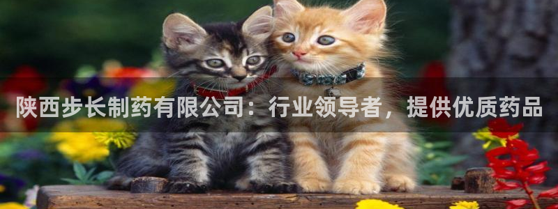 ag九游会老哥俱乐部：陕西步长制药有限公司：行业领导者，提供优质药品