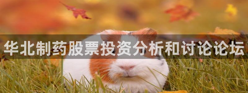 九游会老哥：华北制药股票投资分析和讨论论坛
