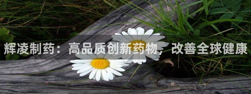 九游会老哥俱乐部必备的交流社区：辉凌制药：高品质创新药物，改善全球健康