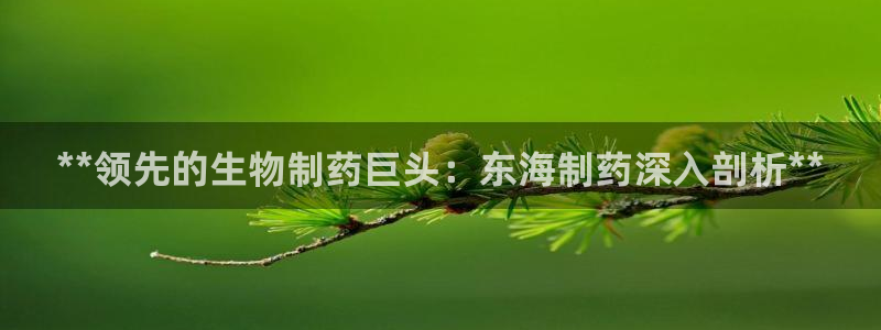 九游老哥俱乐部登录：**领先的生物制药巨头：东海制药深入剖析**