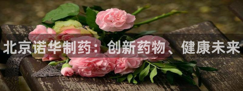 九游会老哥俱乐部论坛版：北京诺华制药：创新药物、健康未来